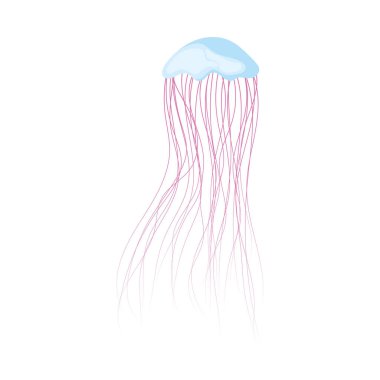 Beyaz arkaplanda mavi denizanası simgesi