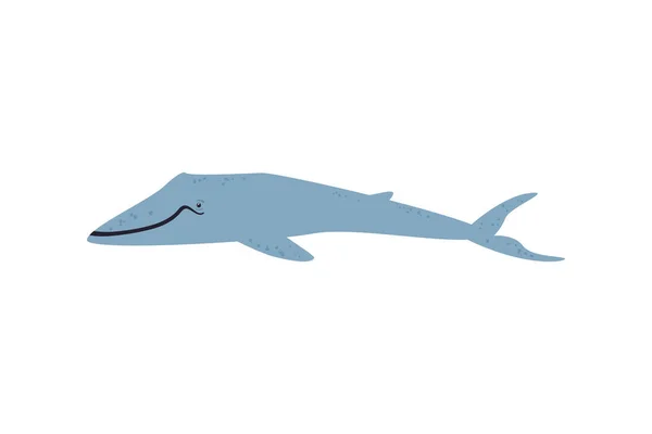 Rorqual Bleu Plat Sur Blanc — Image vectorielle