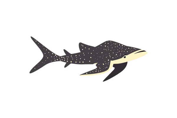 Flat Happy Whale White — Image vectorielle