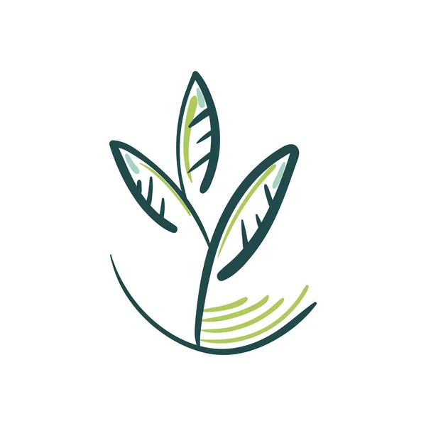 Flat Green Label White — Vector de stock