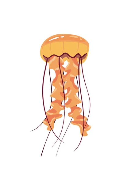 Flat Orange Jellyfish White — Archivo Imágenes Vectoriales