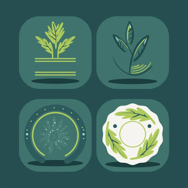 Set Flat Organic Emblems — Stock Vector