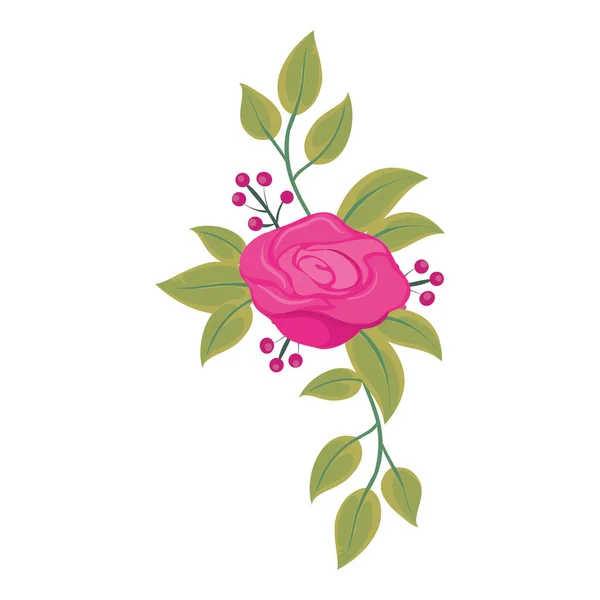 Χρωματιστό Τριαντάφυλλο Σχεδιασμό Πάνω Από Λευκό — Διανυσματικό Αρχείο