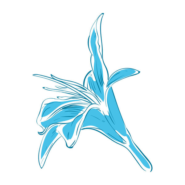 blue orchid design over white