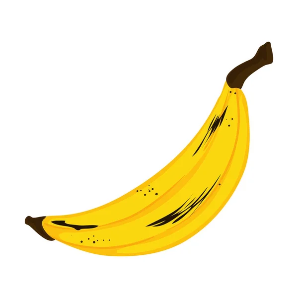 Lindo Diseño Plátano Sobre Blanco — Archivo Imágenes Vectoriales