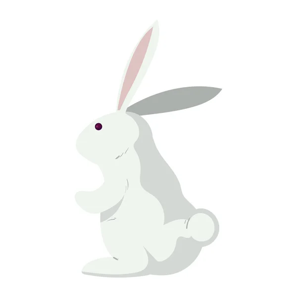 White Cute Bunny White — Stok Vektör