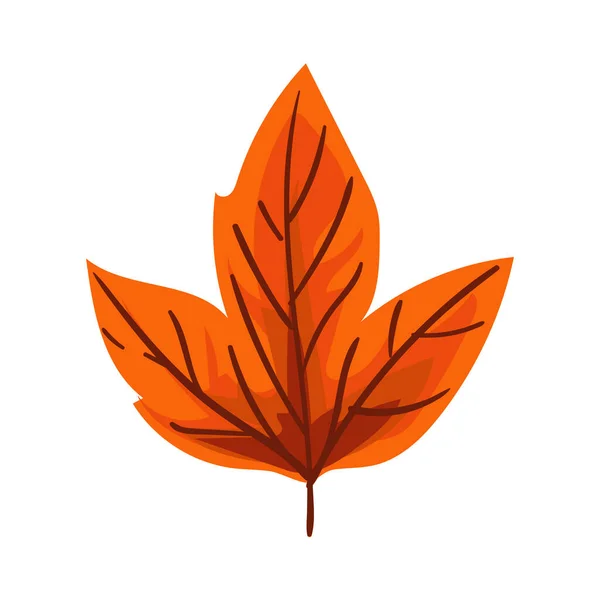 Dry Leaf Design White — Image vectorielle