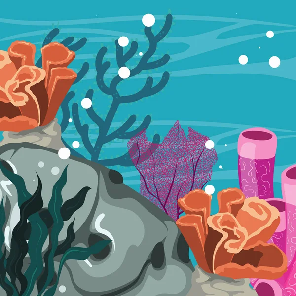 Sea Coral Design Seaweed — 스톡 벡터