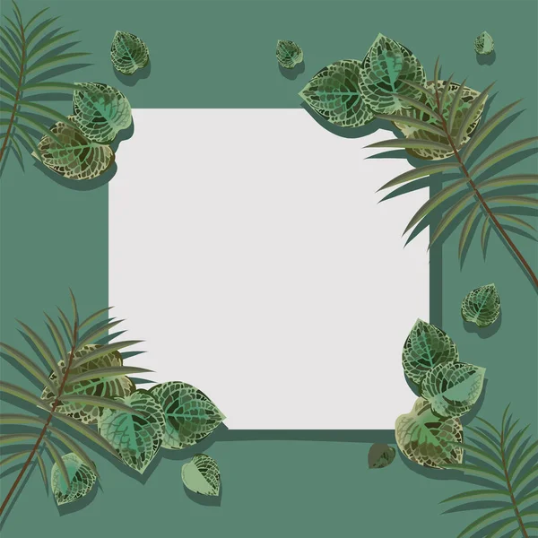 Nature Mockup Frame Plants — Image vectorielle