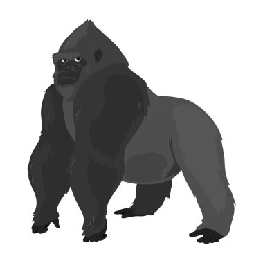 colored gorilla vdesign over white
