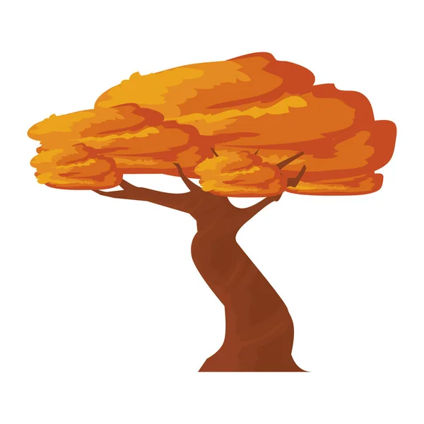 Orange Tree Design White — Vettoriale Stock