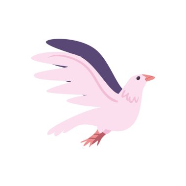 flat dove design over white