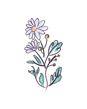 flat daisies design in one line style clipart