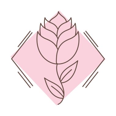 pink floral badge on white background