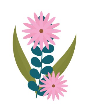 çiçek ve yaprak beyaz arka plan üzerinde