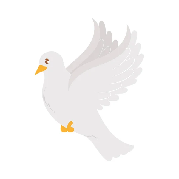 Karikatur Taube Symbol Auf Weißem Hintergrund — Stockvektor