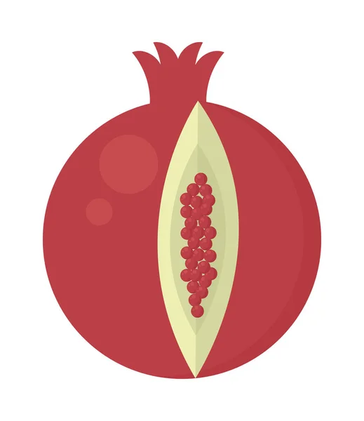Pomegranate Fruit Icon White Background — Wektor stockowy