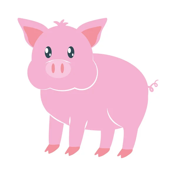 Cartoon Pig Icon White Background - Stok Vektor