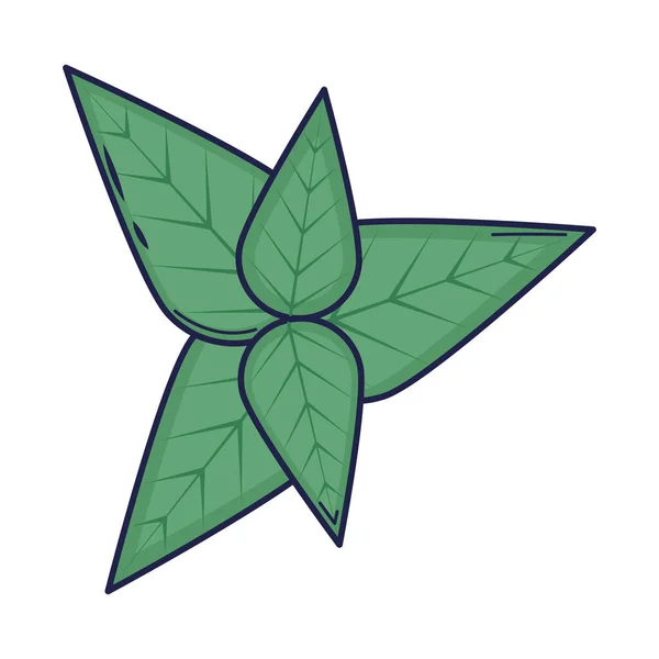 Mint Leaves Icon White Background — Wektor stockowy