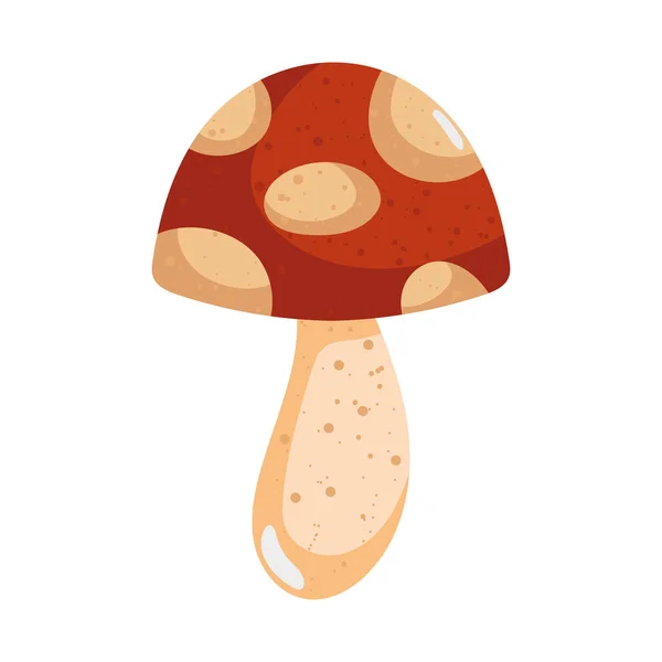 Autumn Fungus Design White — Stockvector