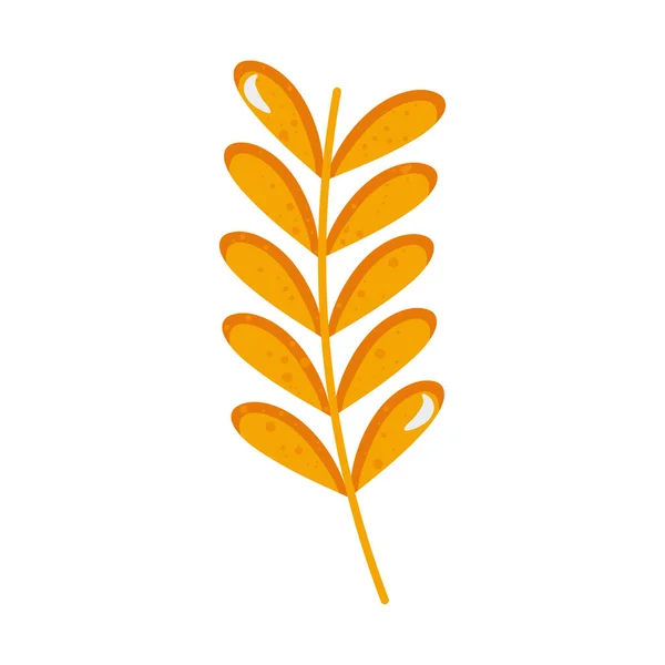 Dry Leaf Illustration White — Vetor de Stock