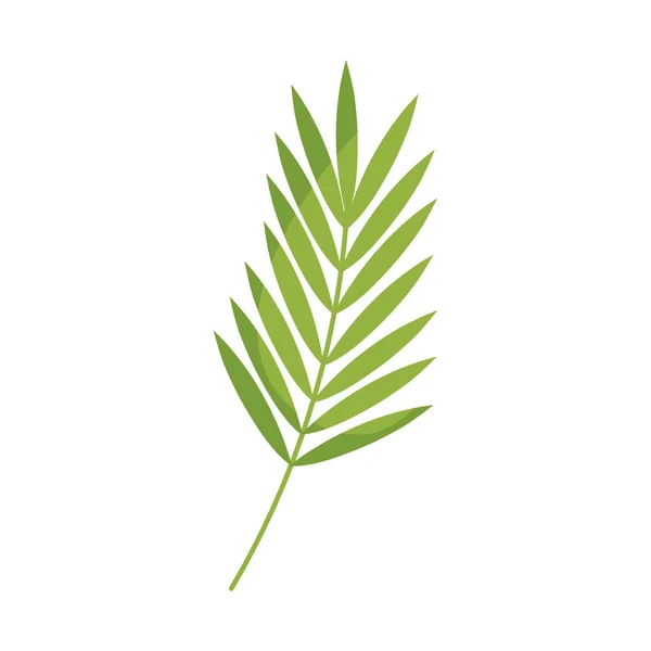 Значок Пальмового Листа Белом Фоне — стоковый вектор