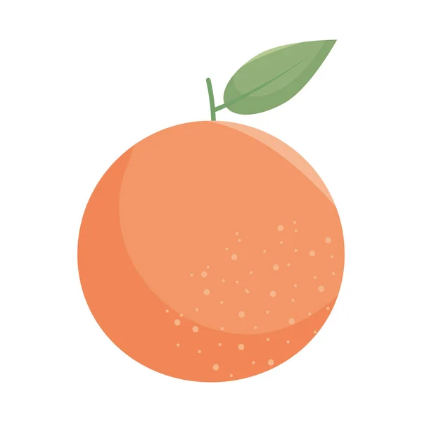Orange Frukt Ikon Vit Bakgrund — Stock vektor