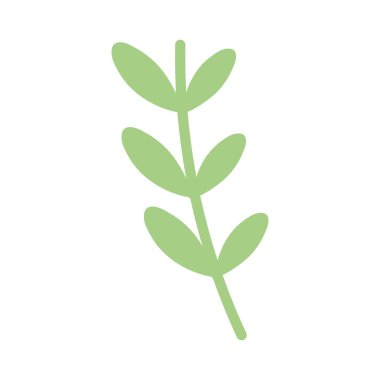 green stem with leaves on white background