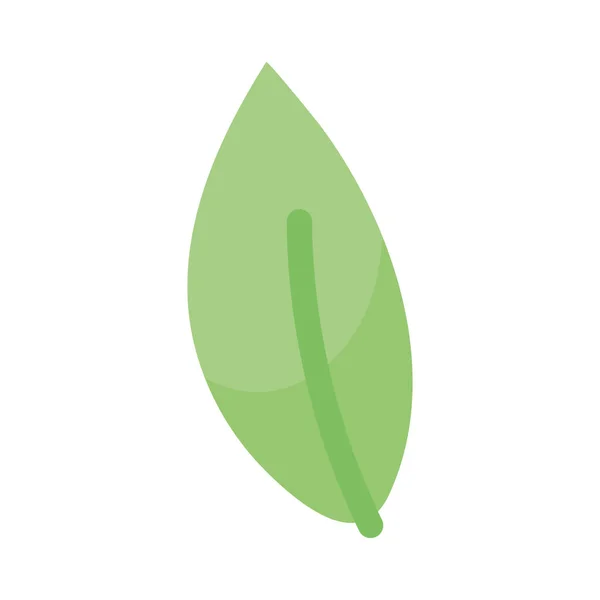 Зеленый Лист Значок Белом Фоне — стоковый вектор