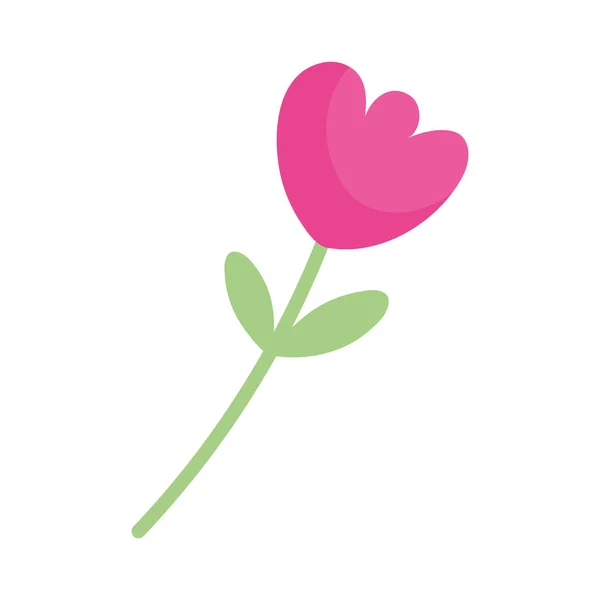 Pink Flower White Background — Stock Vector
