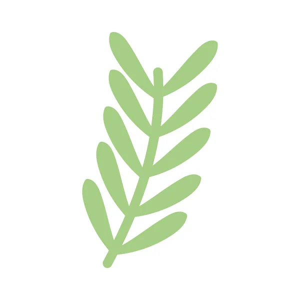 Green Branch Leaves White Background — Stock Vector