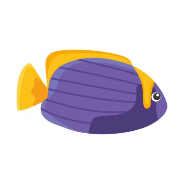 cute purple fish on white background