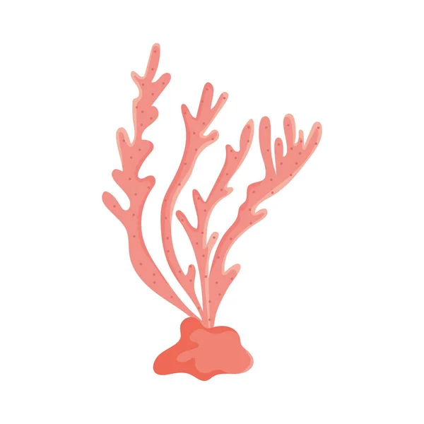 Rosa Koralle Auf Weißem Hintergrund — Stockvektor
