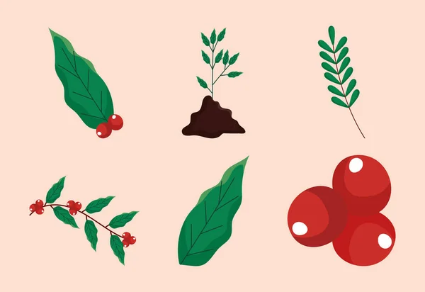 Coffee Beans Leaves Icon Set — ストックベクタ