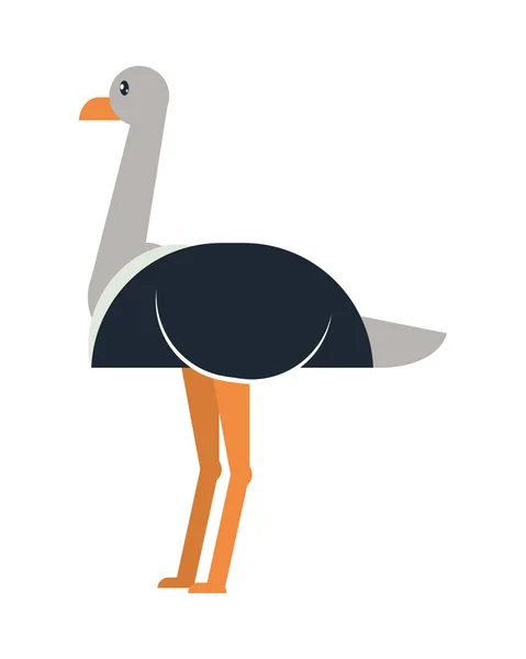 Cute Ostrich Icon White Background — 스톡 벡터