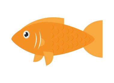 cute fish icon on white background