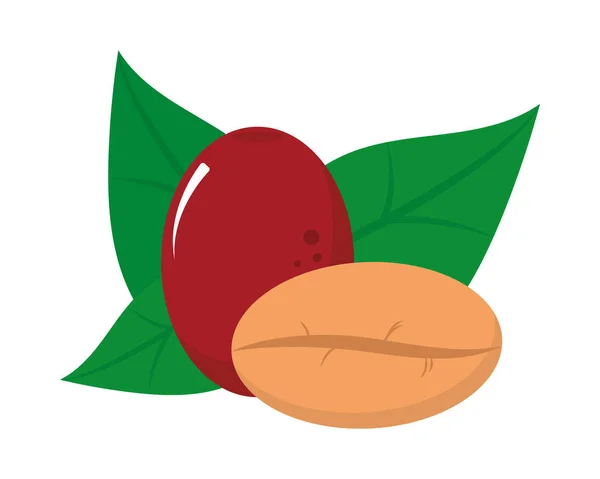 Coffee Seeds Leaf Icon Isolated — Stockvektor