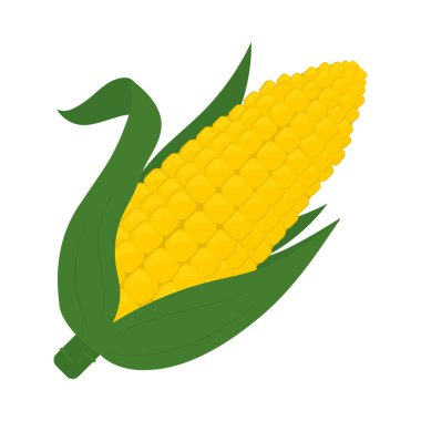 corn food fresh icon isolated
