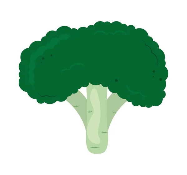 Broccoli Vegetable Healthy Food Icon — 图库矢量图片