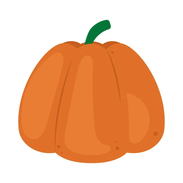 Pumpkin Vegetable Healthy Food Icon — Stock Vector