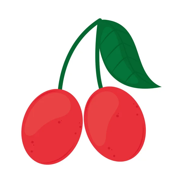 Cherry Fruit Healthy Food Icon — 图库矢量图片