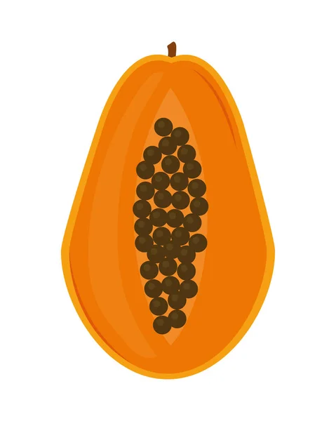 Papaya Fruit Healthy Food Icon — Stok Vektör