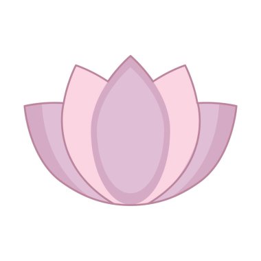 Beyaz arkaplanda pembe nilüfer çiçeği