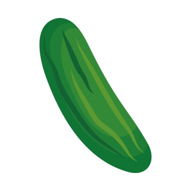 Beyaz arkaplanda salatalık sebze simgesi