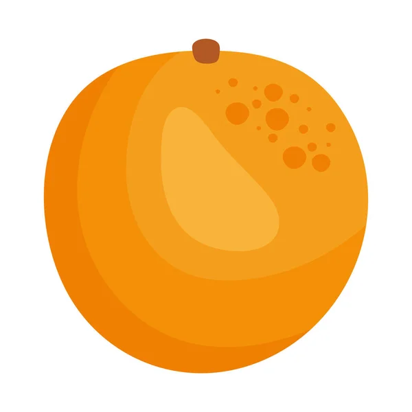 Icône Fruits Orange Sur Fond Blanc — Image vectorielle