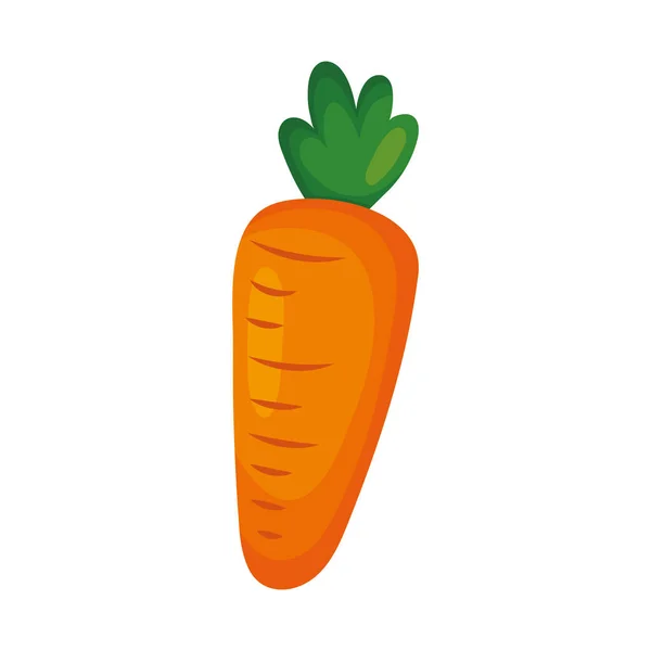 Иконка Морковью Белом Фоне — стоковый вектор