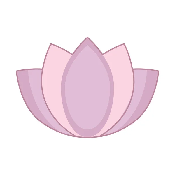 pink lotus flower on white background