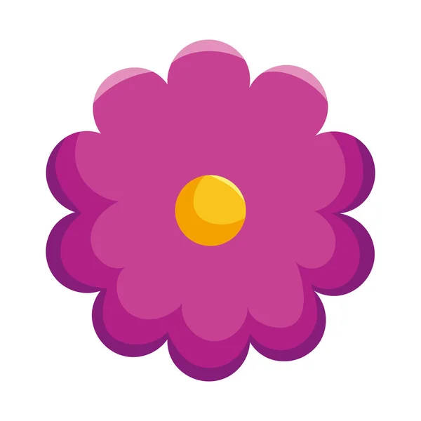 Fleur Pourpre Sur Fond Blanc — Image vectorielle