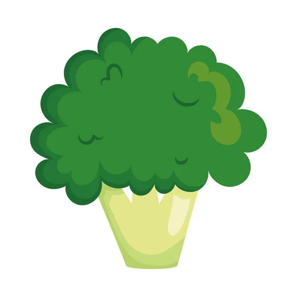 Brocoli Vegetable Icon White Background — Vector de stock