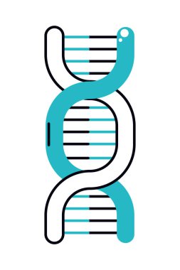 dna chain icon on white background